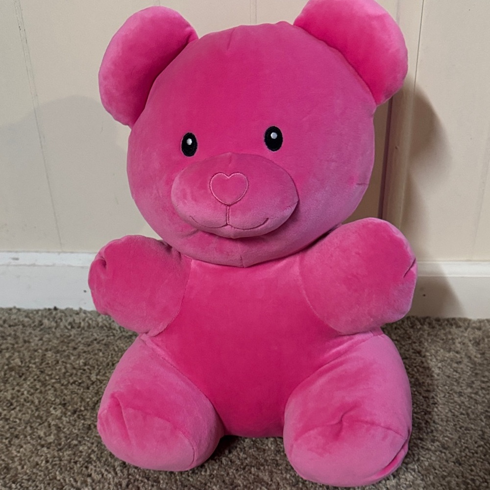 Pink Plush Teddy Bear